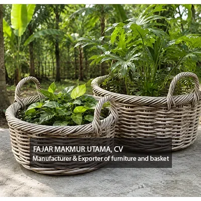 Wicker Planters basket set of 2