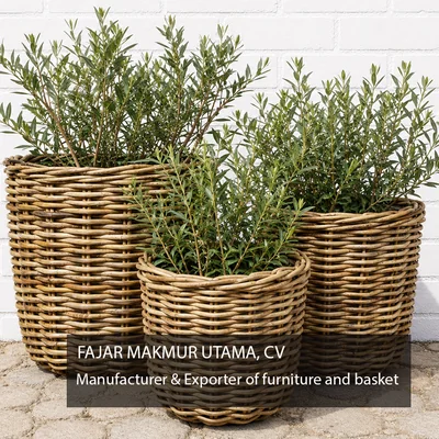 Rattan baskets set of 3