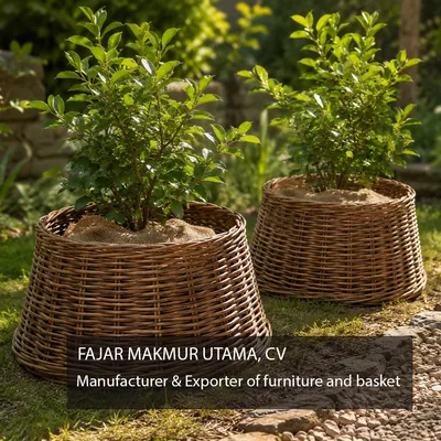 Natural woven rattan plant cover for outdoor plants