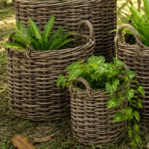 Planters rattan basket
