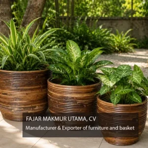 rattan bali