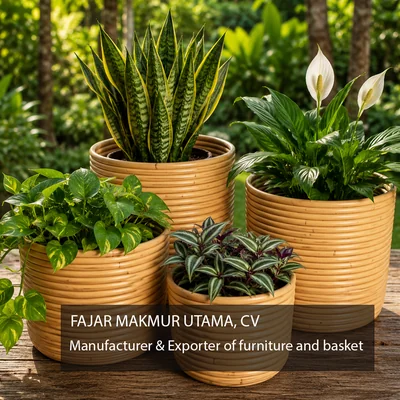 Rattan bali set
